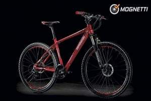 Bici Lombardo mountain bike