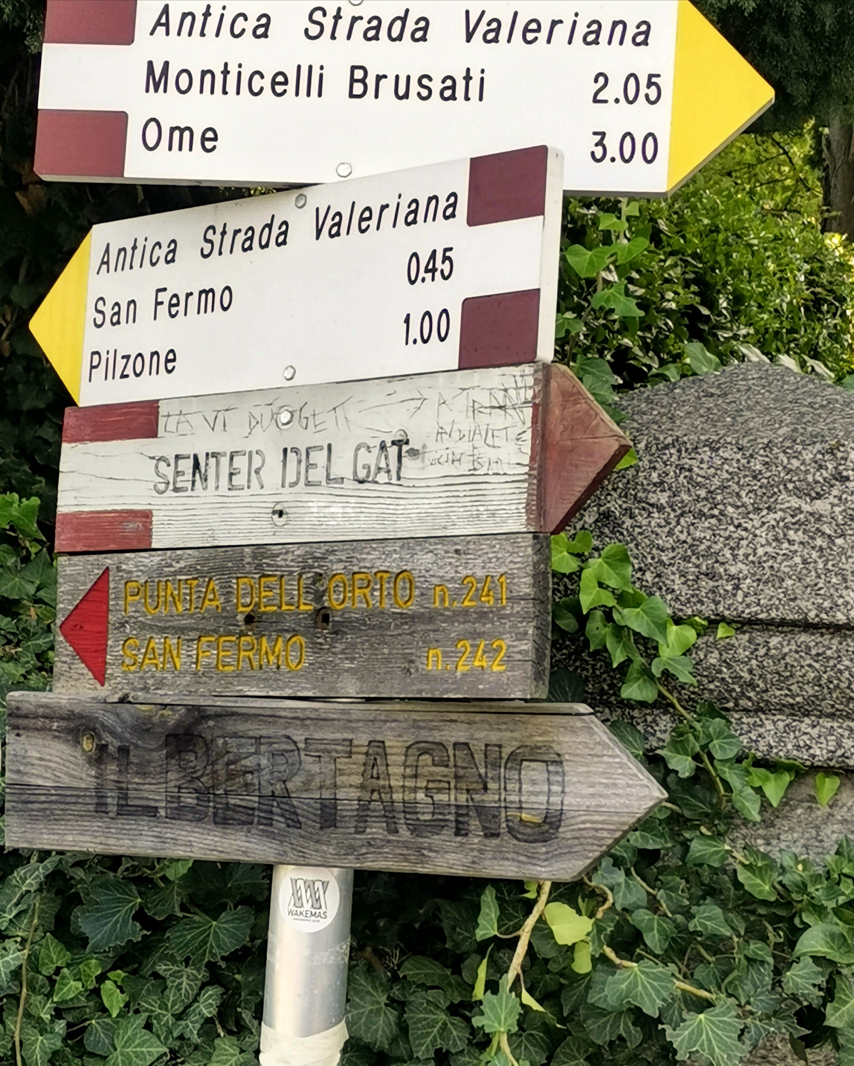 Esplorare la Franciacorta in Gravel: l'Anello Didattico tra l'Oglio e le Vigne Basse