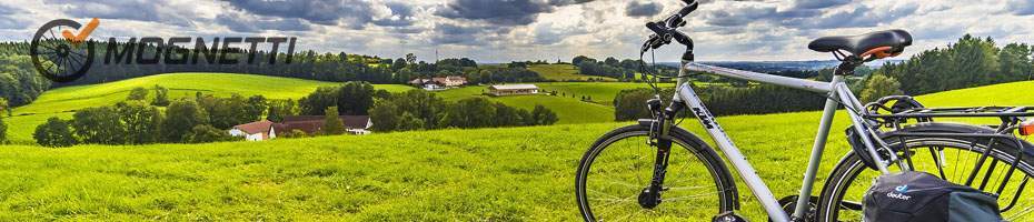 Bici trekking Lombardo